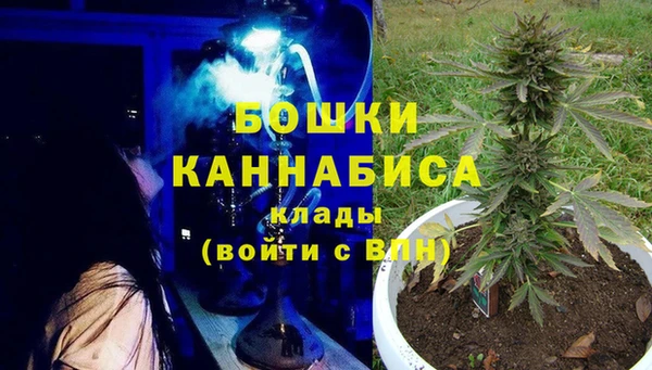 гашик Балахна