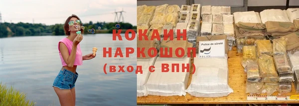 гашик Балахна
