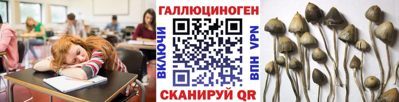 дарк нет какой сайт  Первомайск  Псилоцибиновые грибы мухоморы 