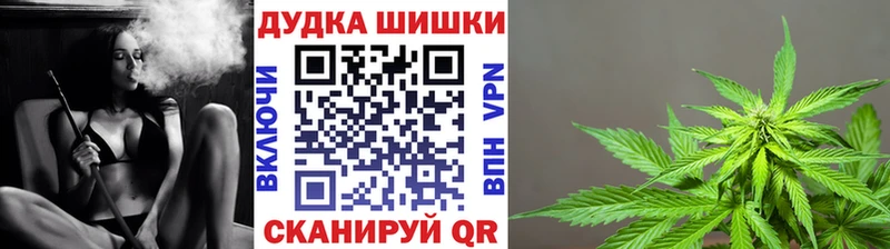 Шишки марихуана сатива  купить наркотик  Первомайск 